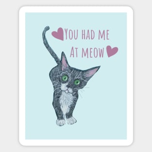 Kitten You Had Me at Meow Magnet